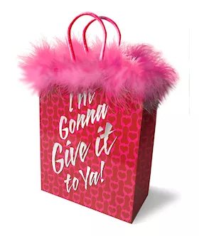 Im Gonna Give It To Ya Gift Bag
