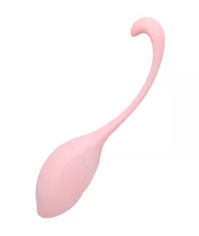 Remote Controlled Egg Vibrator