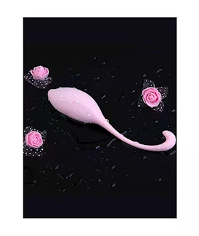 Remote Controlled Egg Vibrator