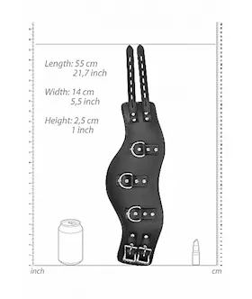 Heavy Duty Padded Posture Collar- Black