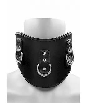 Heavy Duty Padded Posture Collar- Black