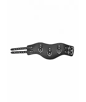 Heavy Duty Padded Posture Collar- Black