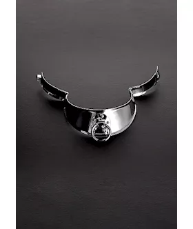 Locking Men's Collar With Ring