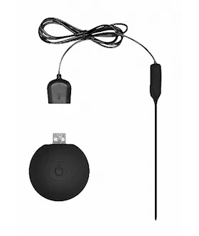 Rechargable Vibrating Plug With Remote