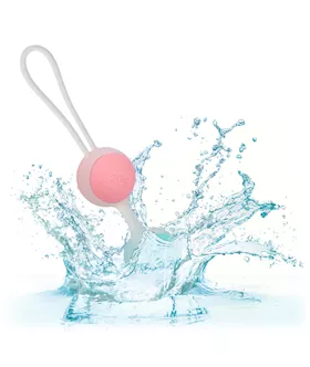 She-ology Interchangeable Weighted Kegel Set