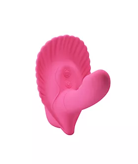 The FANCY CLAMSHELL