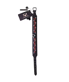 Bound X Spiked Collar With Red Gems