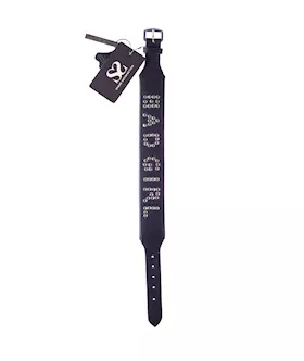 Bound X Bad Girl Studded Collar