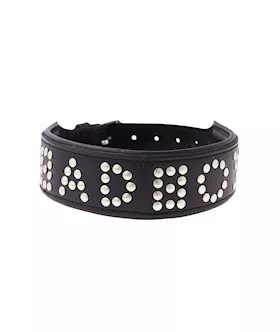 Bound X Bad Boy Studded Collar