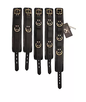 Bound X Padded Cuffs And Collar Set With Brass Hardware