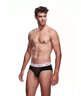 Envy Mesh Brief