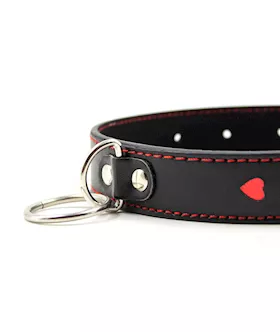 Full Control Collar And Leash