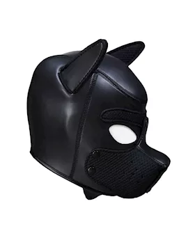 Mans Best Friend Puppy Hood