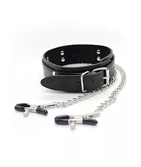 Juicer Collar and Nipple Clamps