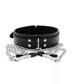 Juicer Collar And Nipple Clamps