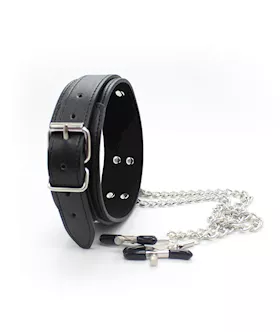 Juicer Collar And Nipple Clamps