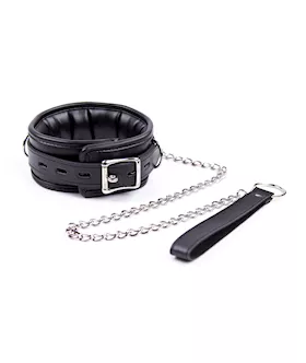 Soft Padded Collar and Leash