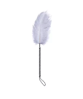 Plume Tickler