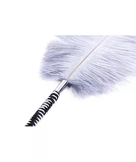 Plume Tickler