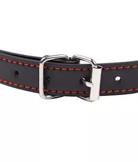 Dirty Dog Bone Bit Gag