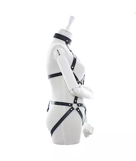 Desire Full Body Harness