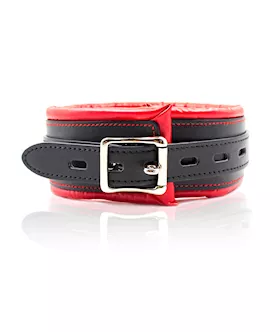 Soft Padded Collar And Leash