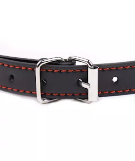 Dirty Dog Bone Bit Gag