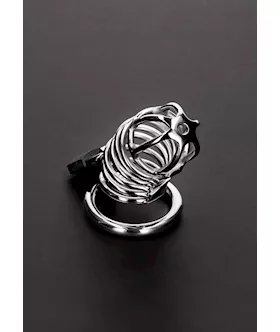 Spiral Chastity Cage