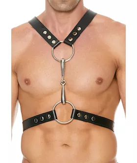 Leather Harness With Metal Bit