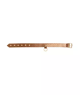 X-play Quilted Collar And Leash