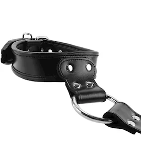 Rouge Leather To Neck Wrist Restraints