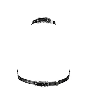 Obsessive Destiny - Harness