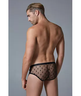 Luca Star Brief