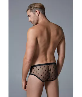 Luca Star Brief