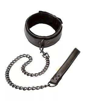 Boundless Collar and Leash