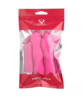 Share Satisfaction Play Bullet Kit