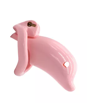 KinKi Dolphin Chastity Cage
