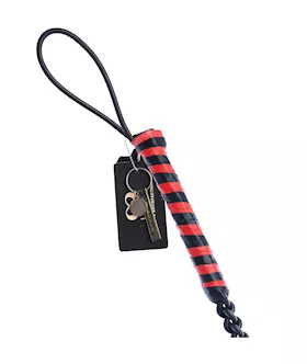 Bound X Braided Silicone Whip