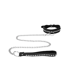 Diamond Studded Collar With Leash