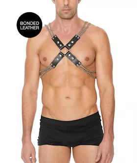 Chain And Chain Harness