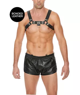 Chest Bulldog Harness