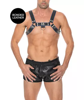 Chest Bulldog Harness