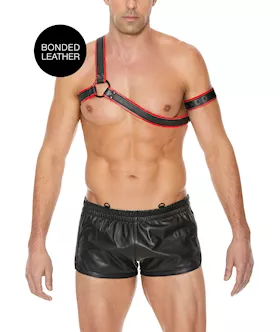 Gladiator Harness