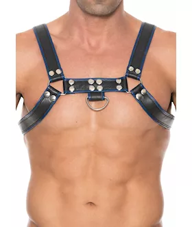 Chest Bulldog Harness