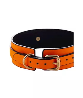 Luminated Glow In The Dark Collar