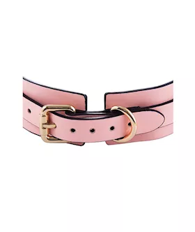 Luminated Glow In The Dark Collar