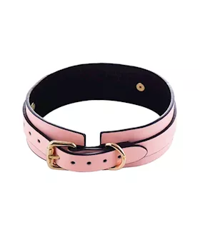 Luminated Glow in the Dark Collar