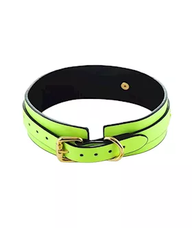 Luminated Glow In The Dark Collar