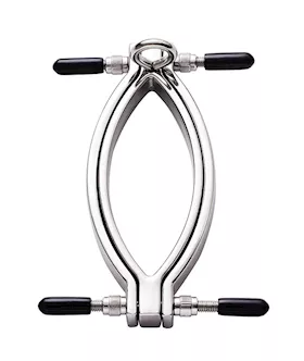 Adjustable Labia And Clit Clamp With Leash Chain 