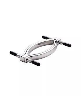 Adjustable Labia And Clit Clamp With Leash Chain 